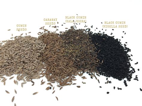 The New [Superfood] Kids on the Block (Part 7): Black Seeds (….and Black Seed Oil)- The GAIA ...