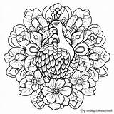 Peacock Mandala Coloring Pages  Free & Printable sketch template