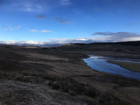 Hayden Valley (Yellowstone National Park) - 2018 All You Need to Know Before You Go (with Photos ...