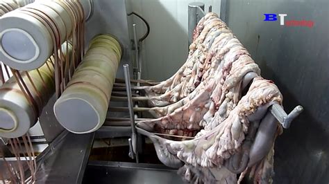 How Are Sausages Produced in Factories, Excellent Food Production and Processing Process - YouTube