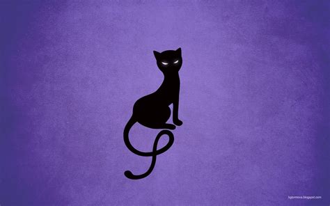 Cute Cat Wallpaper Drawing | Care About Cats