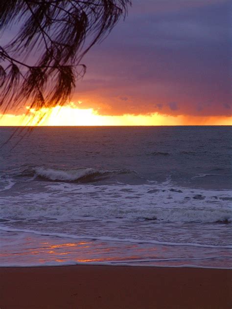 #sunrise at Thala Bech Lodge | Beach lodging, Daintree rainforest, Sunset views