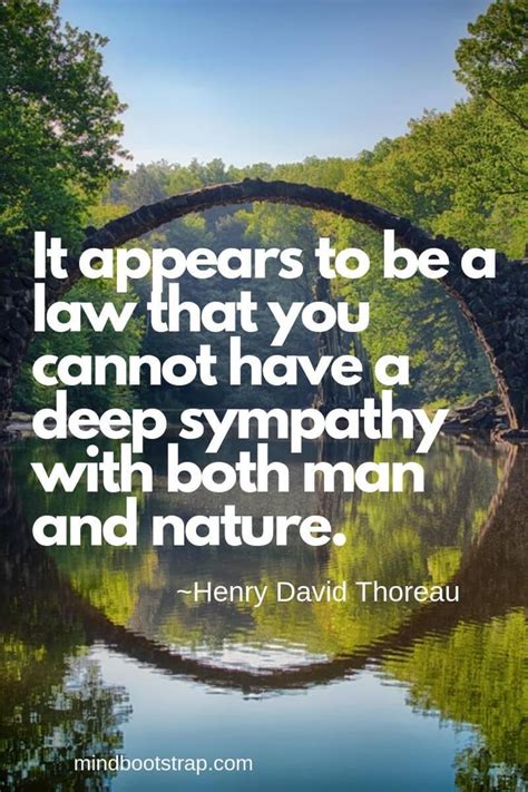 77+ Inspiring Henry David Thoreau Quotes About Life, Love | Henry david thoreau quotes, Thoreau ...