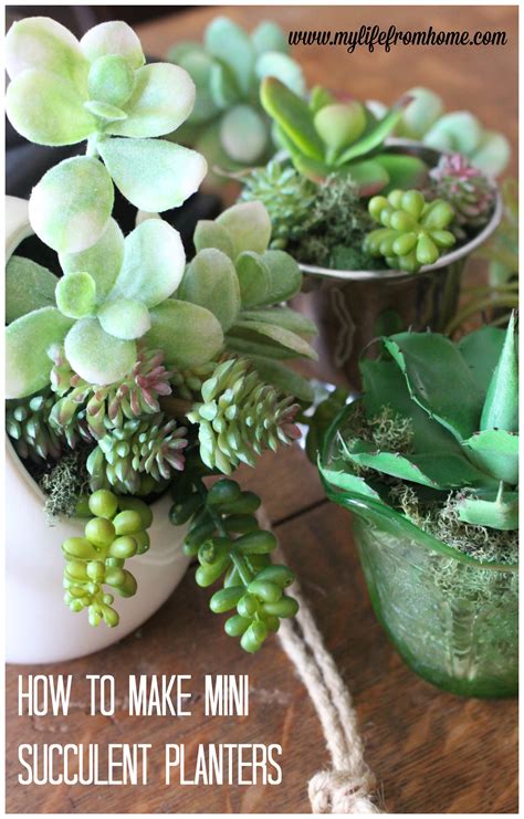 How to Make Mini Succulent Arrangements | My Life From Home