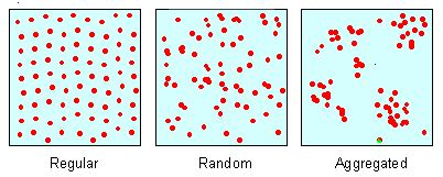 Tree Types of Spatial Distribution