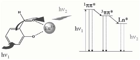 Principle of the antenna effect in coordination compounds of europium... | Download Scientific ...