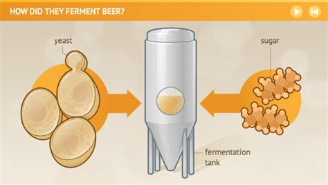 How did they ferment beer?