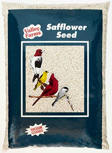 Safflower Feeder 2024 - Vet Ranch - We Love Pets