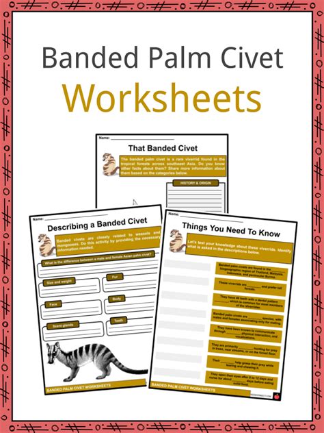 Banded Palm Civet Facts, Worksheets & Physical Description For Kids