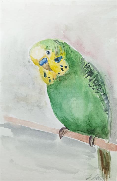 Parrot Watercolor Original Painting Green Parakeet Watercolor | Etsy