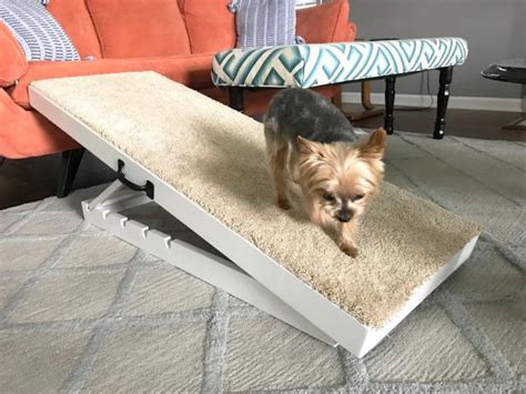 31 Amazing Dog Bed And Couch Ramp Ideas For 2022 - WowPooch