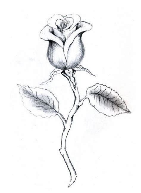 Amber Atkinson's Portfolio | Drawings | Rosebud with stem | Rose bud tattoo, Rose with stem ...