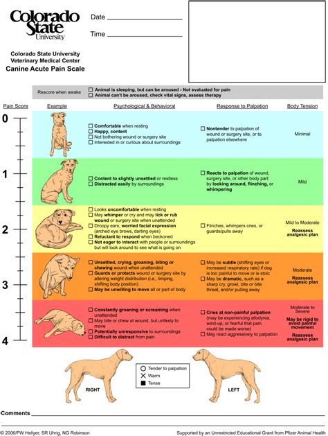 Download these pain scales - Veterinary Practice News