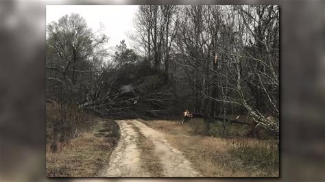 Striking photos show storm damage in SW Georgia | 11alive.com