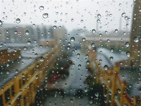 Rainy Day · Free Stock Photo