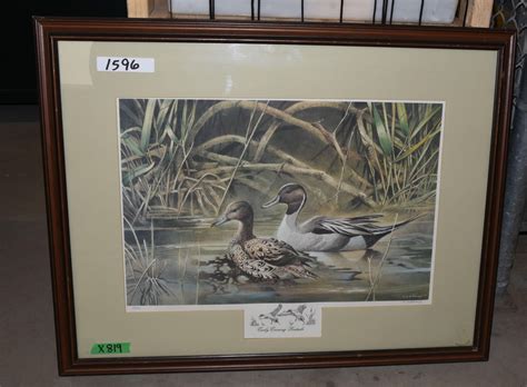 Ducks Unlimited Print - Landsborough Auctions