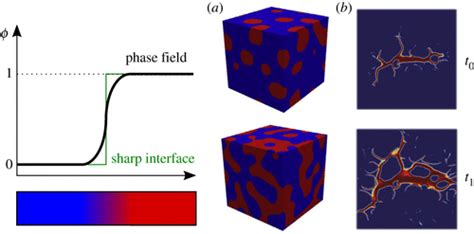 An assessment of phase field fracture: crack initiation and growth | Philosophical Transactions ...