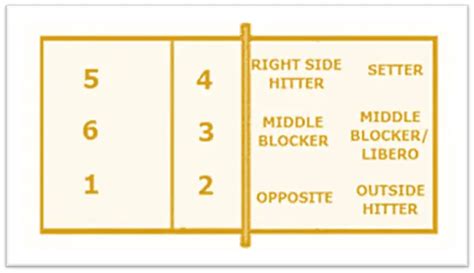 Ultimate Guide To Indoor Volleyball Positions - We Love Volleyball