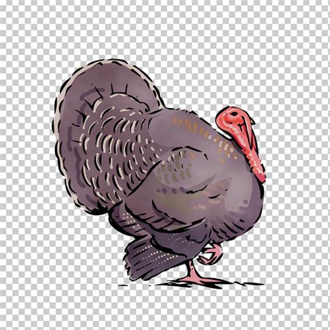 Turkey Wild Turkey Bird Cartoon Beak PNG, Clipart, Animation, Beak ...