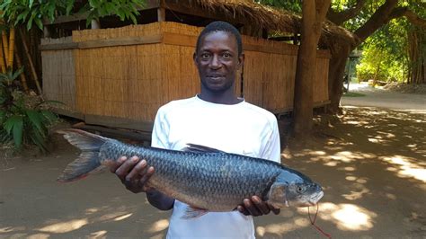 Lake Malawi Plants