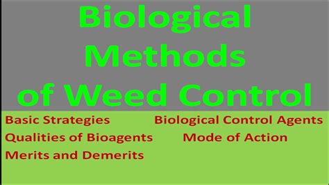 Biological Methods of Weed Control - YouTube