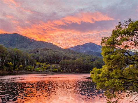 Bogong Village Accommodation - Mount Beauty