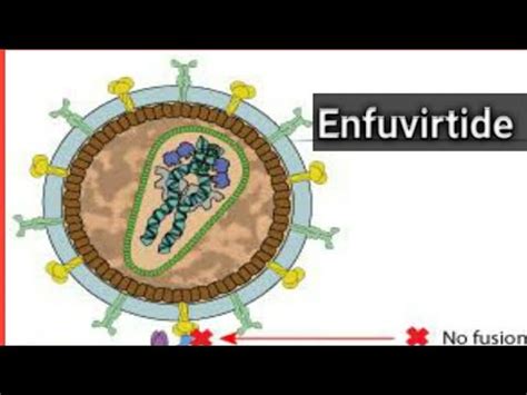 membrane fusion inhibitor (Enfuvirtide): mode of action: resistance: Antiviral drugs lecture 2 ...