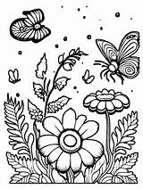 Black And White Coloring Book With Intricate Flowers Butterflies  sketch template