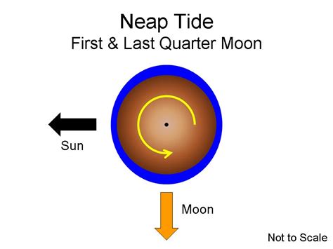 Neap Tide Definition Science