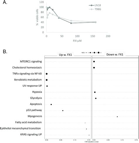 The BCL6 inhibitor FX1 alters expression of multiple hallmarks of ...