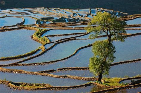 Yuanyang | Yunnan, Asia travel, China image