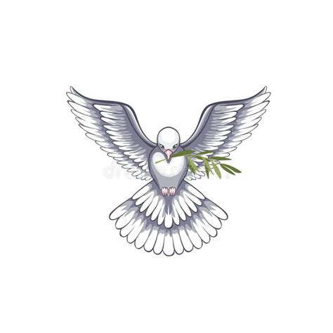 A Dove with an Olive Branch is a Symbol of Peace. Stock Vector ...