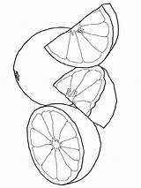 Grapefruit Tree Coloring Page  Book Free Download sketch template