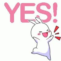 Yes Cute Excited Bunny GIF | GIFDB.com