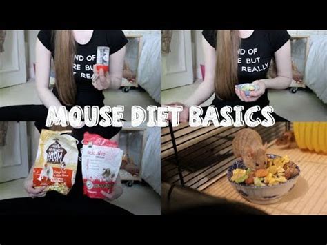 MOUSE DIET BASICS - YouTube