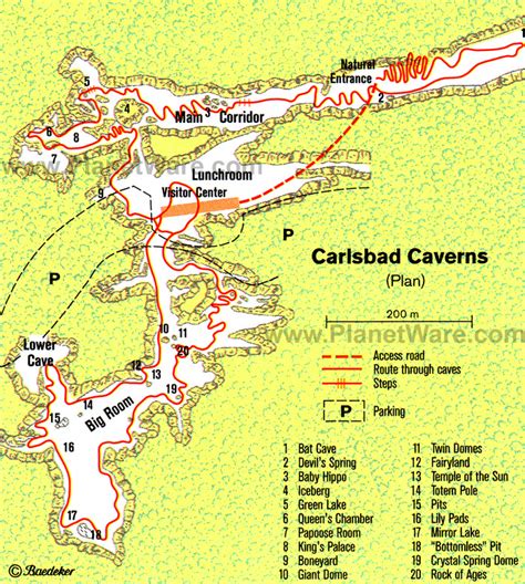 Carlsbad Caverns Wiki