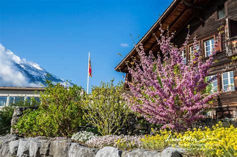 Discovering the Swiss Alps Villages – Miss Vacation