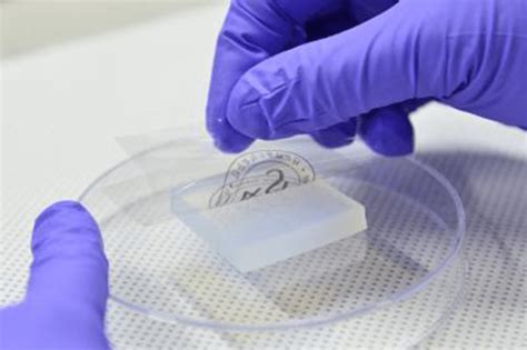 Developing Hydrogel Sensors to Tap Human Skin Sensations