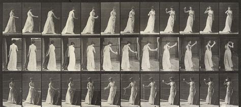 Eadweard Muybridge | flyeschool.com