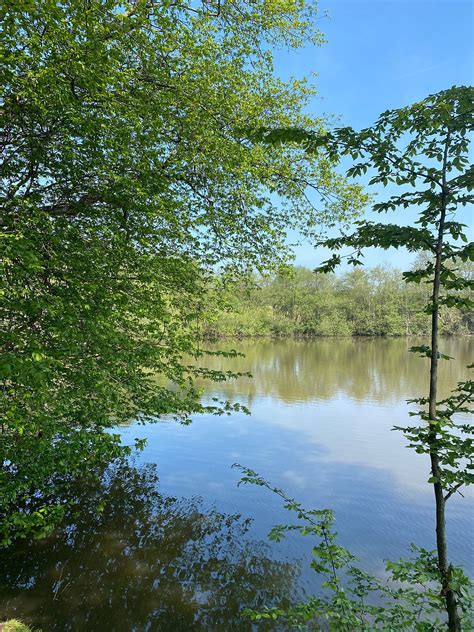 Balcombe Lake and village