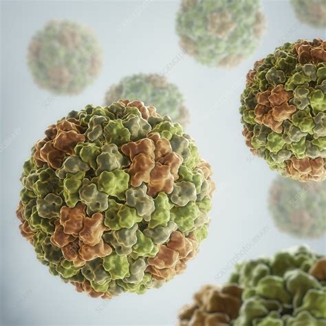 Cucumber Mosaic Virus, artwork - Stock Image - C020/4578 - Science Photo Library