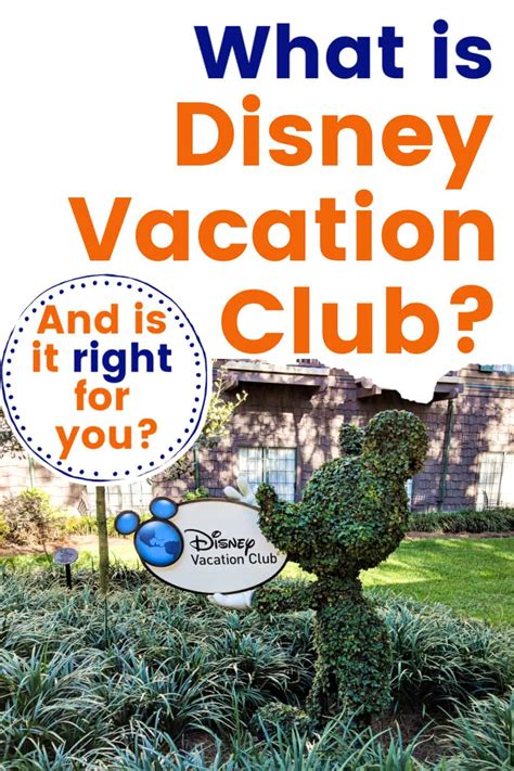 Beginner's Guide to Disney Vacation Club - The Disney Journey