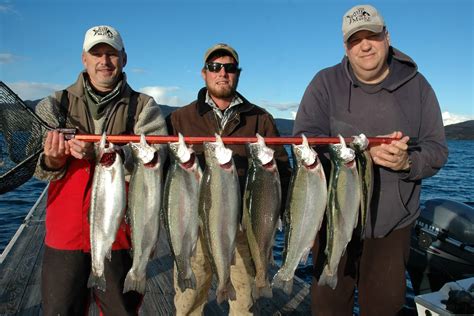 Northwest Salmon and Steelhead Fishing: Rufus Woods Rainbows - Omak ...