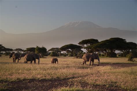 10 Best Tanzania Safari Tours 2025 - TourRadar