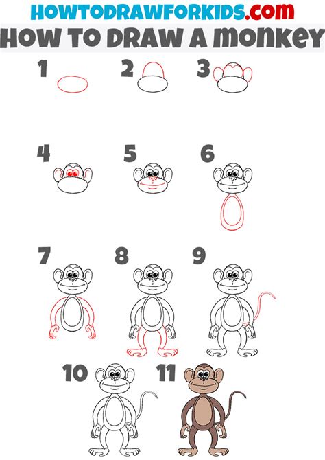 How To Draw A Baby Monkey Step By Step For Kids