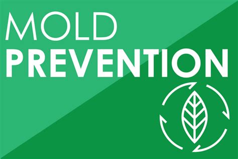 Mold Prevention - HoustonRecovers.org