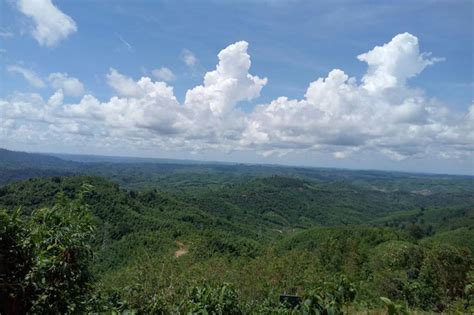 Rakhine mountain, Myanmar | Natural landmarks, Rakhine, Nature