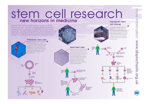 | STEM