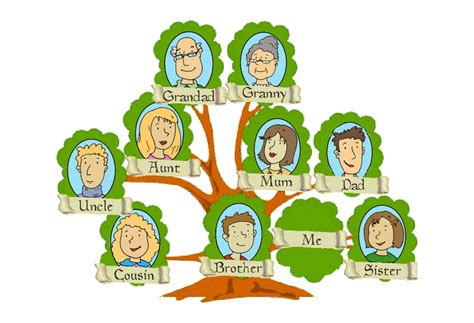 genealogy clipart tree 10 free Cliparts | Download images on Clipground 2024