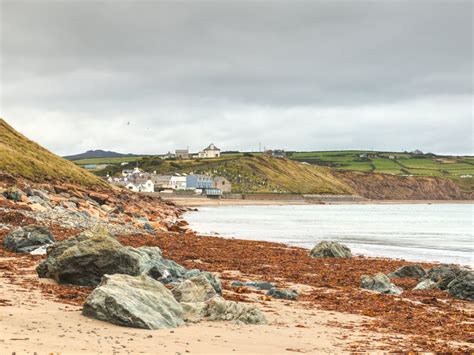 Is Aberdaron Beach Dog Friendly